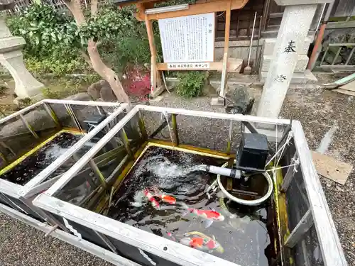 神館飯野高市本多神社(三重県)