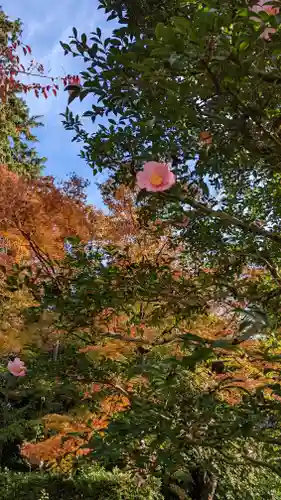 雲龍院(京都府)