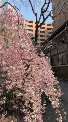 頂法寺（六角堂）(京都府)