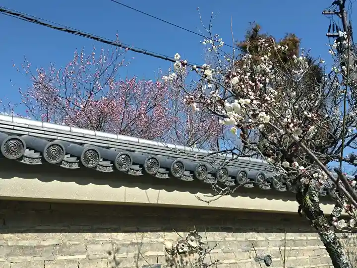 天龍寺の{uncategorized: "未分類", other: "その他", undefined: "問題あり", building: "その他建物", grave: "お墓", sacred_gate: "鳥居", guardian: "狛犬", statue: "像", buddha: "仏像", history: "歴史", nature: "自然", garden: "庭園", animal: "動物", pagoda: "塔", temizu: "手水舎", mountain_gate: "山門・神門", sanctuary: "本殿・本堂", subordinate: "末社・摂社", art: "芸術", scenery: "景色", jizo: "地蔵", ema: "絵馬", goshuin: "御朱印", omikuji: "おみくじ", items: "授与品その他", amulet: "お守り", goshuincho: "御朱印帳", eats: "食事", festival: "お祭り", votive_dance: "神楽", shichigosan: "七五三参", wedding: "結婚式", experience: "体験その他", initially: "初詣", around: "周辺", anti_infection: "感染症対策"}
