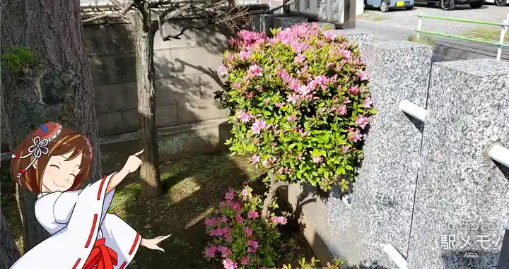 牛頭天王社のその他建物