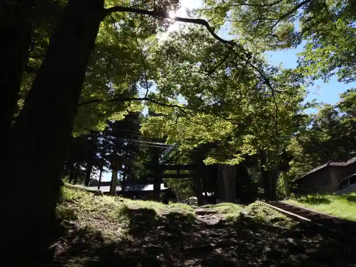 諏訪大社上社前宮(長野県)