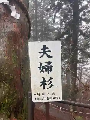 玉置神社(奈良県)