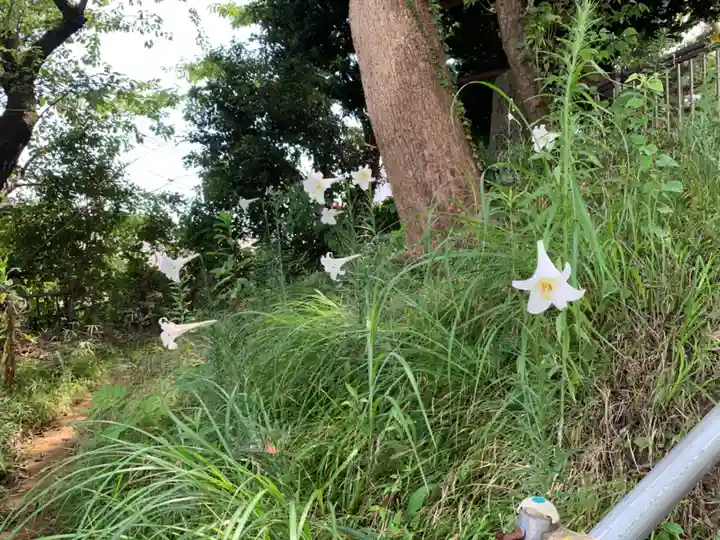 神明神社の自然