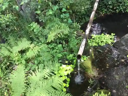 東竹院の庭園