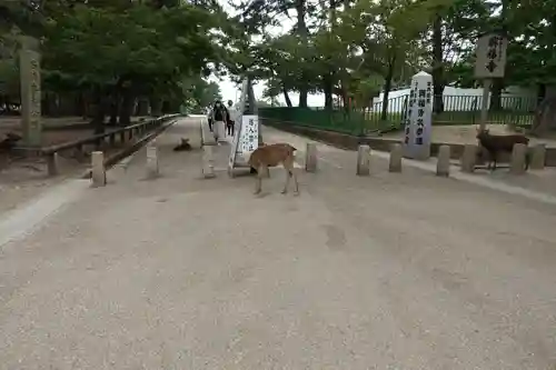 春日大社のその他建物