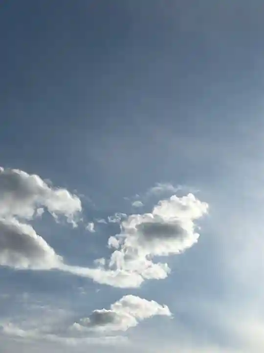 寛永寺(根本中堂)(東京都)