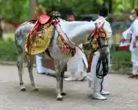 賀茂御祖神社(下鴨神社)の{uncategorized: "未分類", other: "その他", undefined: "問題あり", building: "その他建物", grave: "お墓", sacred_gate: "鳥居", guardian: "狛犬", statue: "像", buddha: "仏像", history: "歴史", nature: "自然", garden: "庭園", animal: "動物", pagoda: "塔", temizu: "手水舎", mountain_gate: "山門・神門", sanctuary: "本殿・本堂", subordinate: "末社・摂社", art: "芸術", scenery: "景色", jizo: "地蔵", ema: "絵馬", goshuin: "御朱印", omikuji: "おみくじ", items: "授与品その他", amulet: "お守り", goshuincho: "御朱印帳", eats: "食事", festival: "お祭り", votive_dance: "神楽", shichigosan: "七五三参", wedding: "結婚式", experience: "体験その他", initially: "初詣", around: "周辺", anti_infection: "感染症対策"}