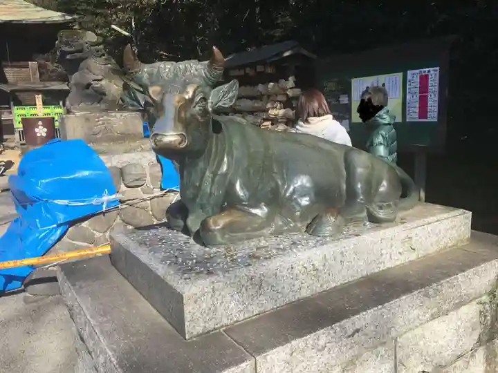 谷保天満宮の狛犬