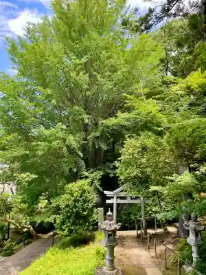 天台宗　長窪山　正覚寺(神奈川県)