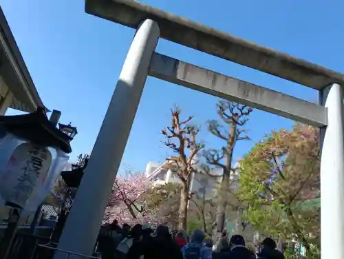 五條天神社の{uncategorized: "未分類", other: "その他", undefined: "問題あり", building: "その他建物", grave: "お墓", sacred_gate: "鳥居", guardian: "狛犬", statue: "像", buddha: "仏像", history: "歴史", nature: "自然", garden: "庭園", animal: "動物", pagoda: "塔", temizu: "手水舎", mountain_gate: "山門・神門", sanctuary: "本殿・本堂", subordinate: "末社・摂社", art: "芸術", scenery: "景色", jizo: "地蔵", ema: "絵馬", goshuin: "御朱印", omikuji: "おみくじ", items: "授与品その他", amulet: "お守り", goshuincho: "御朱印帳", eats: "食事", festival: "お祭り", votive_dance: "神楽", shichigosan: "七五三参", wedding: "結婚式", experience: "体験その他", initially: "初詣", around: "周辺", anti_infection: "感染症対策"}