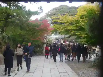 高徳院のその他建物