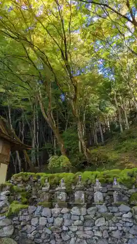 古知谷阿弥陀寺(京都府)