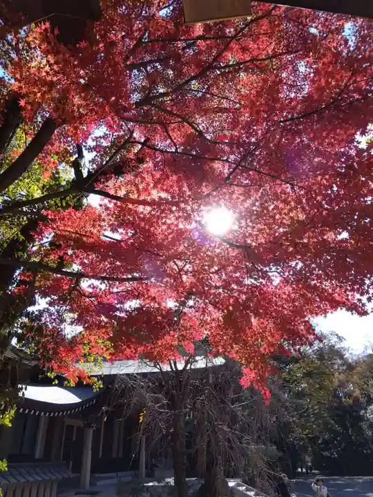 熱田神宮(愛知県)