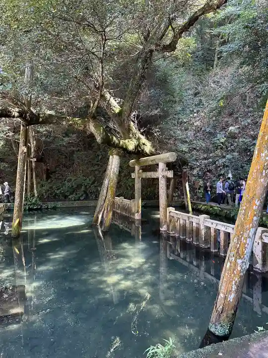 鹿島神宮(茨城県)