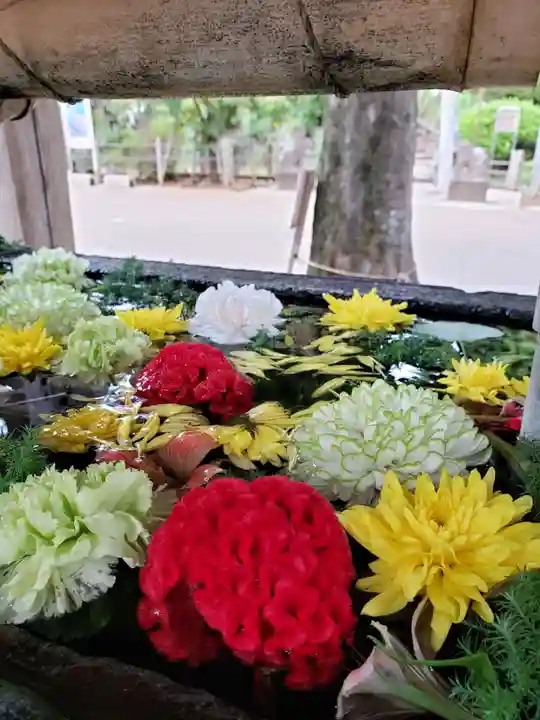 鳩森八幡神社の手水舎