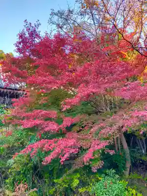 不退寺(奈良県)