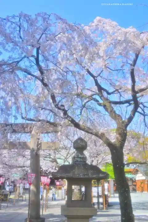 日枝神社(静岡県)