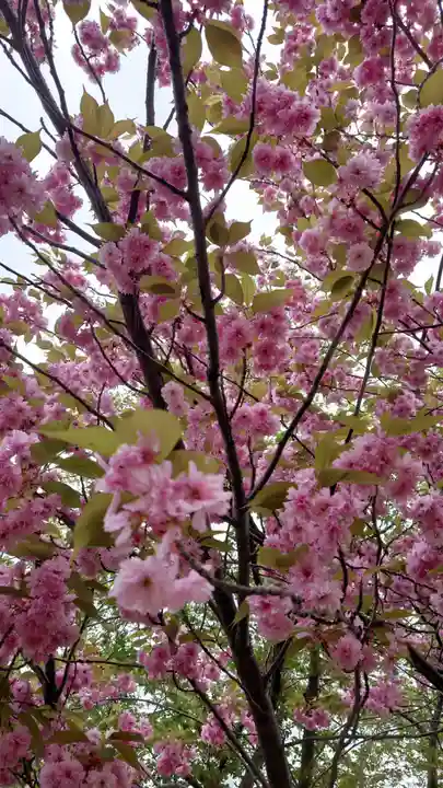 相馬神社(北海道)