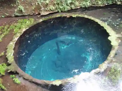 貴船神社の自然