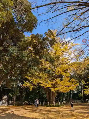 赤坂氷川神社(東京都)