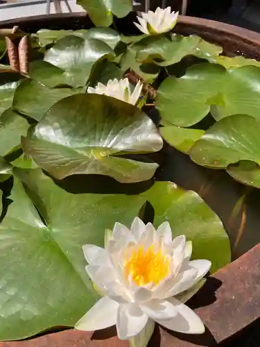 真言宗　善通寺派　薬王寺(香川県)