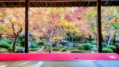 圓光寺(京都府)