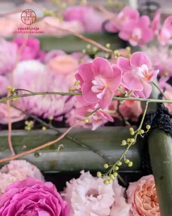 立志神社(滋賀県)