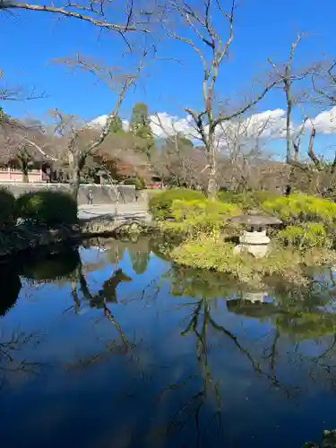 富士山本宮浅間大社の庭園