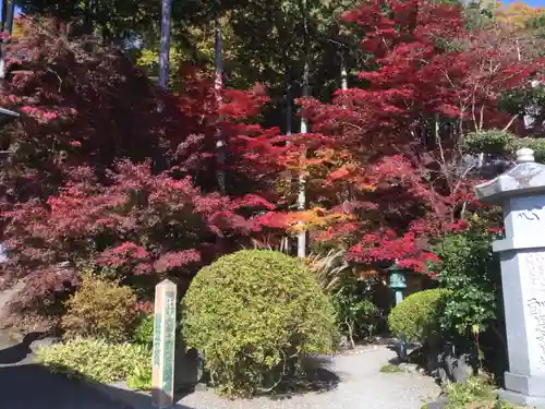 崇禅寺の庭園