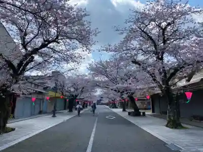 祐徳稲荷神社の周辺