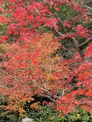 霊源院（建仁寺塔頭）の庭園