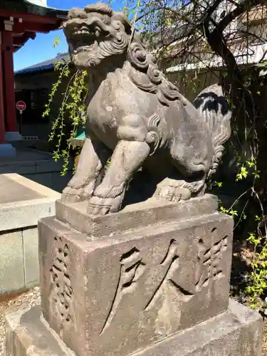 筑土八幡神社の狛犬