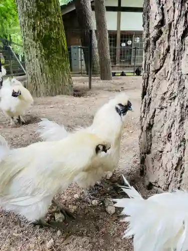 身曾岐神社(山梨県)