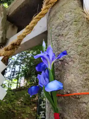 滑川神社 - 仕事と子どもの守り神のその他建物
