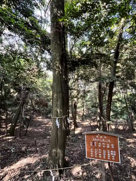 美具久留御魂神社の自然