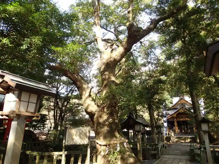 住吉神社の自然