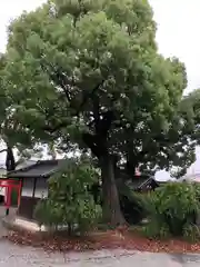 天神社(奈良県)