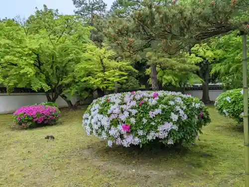 平等院(京都府)