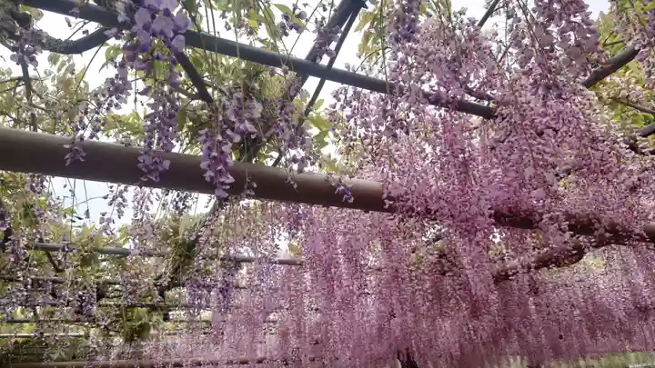 曼陀羅寺の庭園
