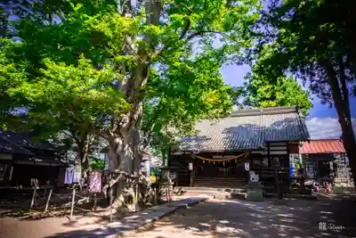 白鳥神社(長野県)