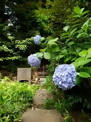 渋谷氷川神社(東京都)