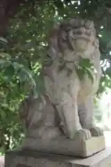 秋葉神社の狛犬