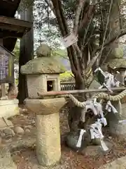 新宮八幡神社の建物その他