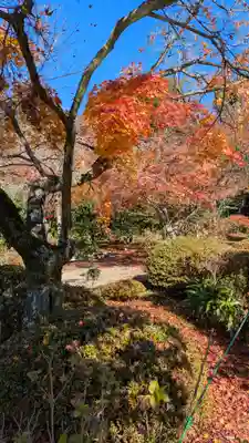 法金剛院(京都府)