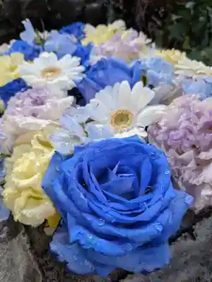 本郷氷川神社(東京都)