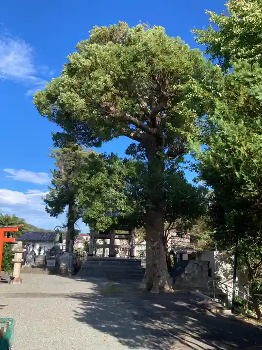 東漸寺(神奈川県)