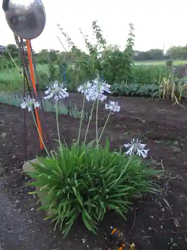 威徳院(千葉県)
