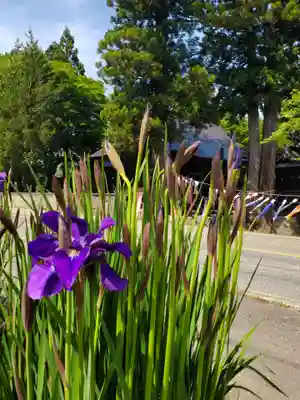 高司神社〜むすびの神の鎮まる社〜(福島県)