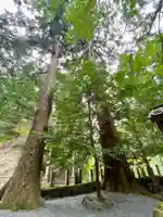 大神宮社(京都府)